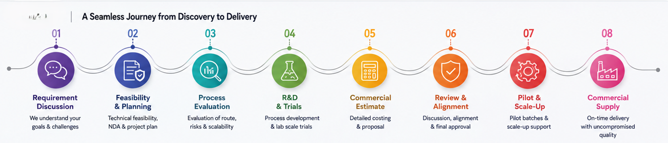 CDMO Process Journey